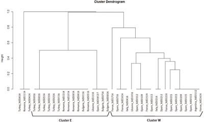 Genetics, Host Range, and Molecular and Pathogenic Characterization of Verticillium dahliae From Sunflower Reveal Two Differentiated Groups in Europe